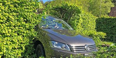 Eines der Unfallfahrzeuge durchbrach in Fischingen TG eine Hecke und kam im Garten zum Stillstand. Ein 54-jähriger Lenker und eine 23-jährige Lenkerin wurden verletzt.
