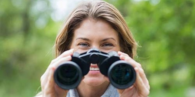 BirdLife Schweiz ruft zur «Stunde der Gartenvögel» auf.