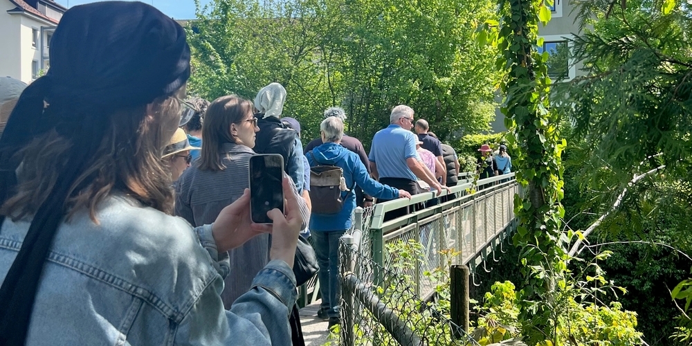 Wasserkraft und Geschichte an der Jona.