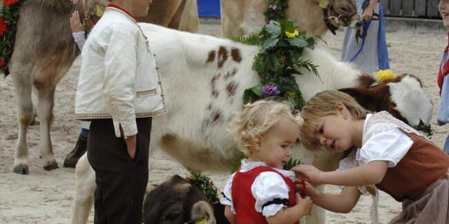 2006 präsentierten sich die beiden Appenzeller Kantone letztmals als Gastkantone an der Olma. (Archivbild)