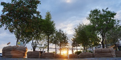 Green City Days 2026