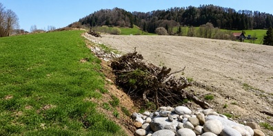 Im Gebiet Goldbach soll eine Deponie des Typs B entstehen. (Archivbild)