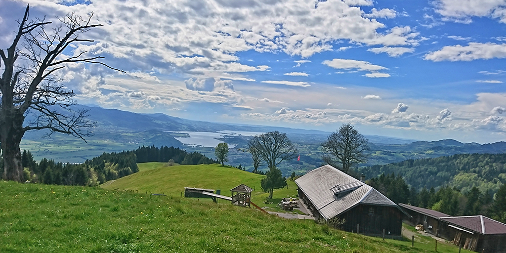 Im gemütlichen Alpbeizli Alp Wielesch gibt es eine schöne Aussicht und währschafte Kost zu geniessen.