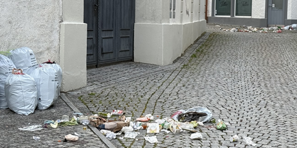 Zu früh bereitgestellte Kehrichtsäcke führen immer wieder zu Verschmutzungen und Problemen im öffentlichen Raum.