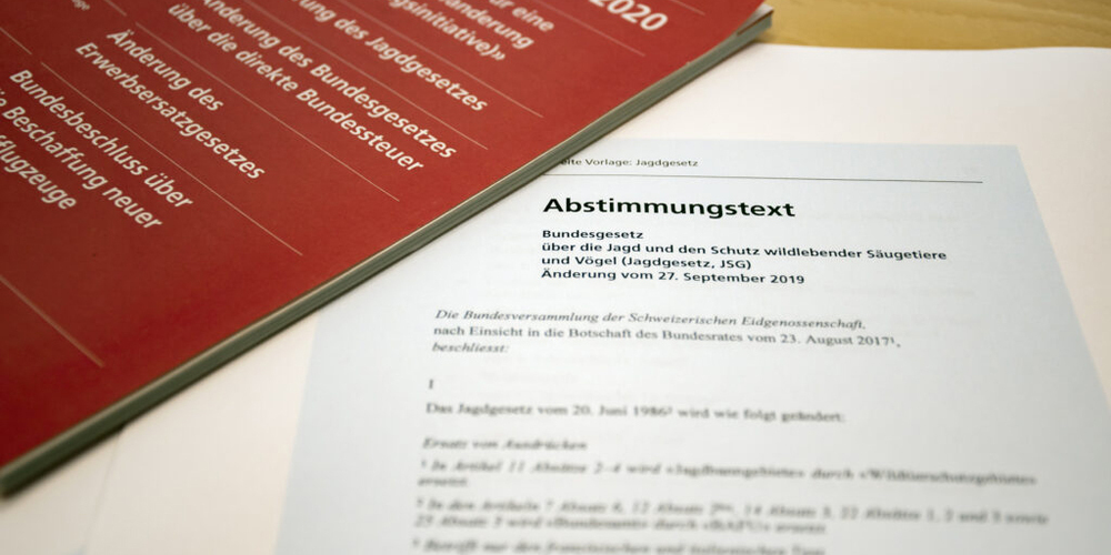 Das revidierte Jagdgesetz ist ein viel diskutiertes Thema. (Symbolbild)