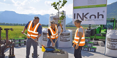 Gion Willi, Andreas Zindel und Miriam Marxer haben am Mittwoch in Maienfeld einen Baum gepflanzt.