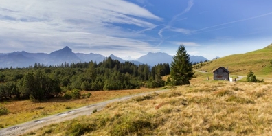 Das Hochmoor in Amden soll aufgewertet werden. (Archivbild)
