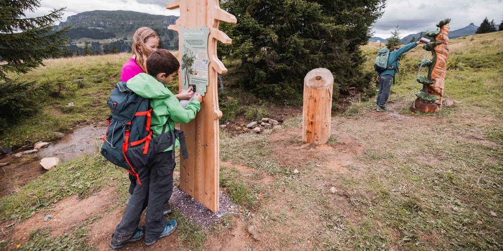 Spielerisches Wandern auf dem Rohan-Rothirsch-Erlebnisweg.