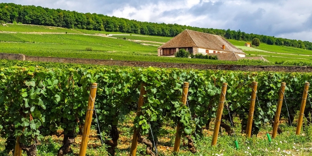 Reisebericht-unterwegs-im-Burgund