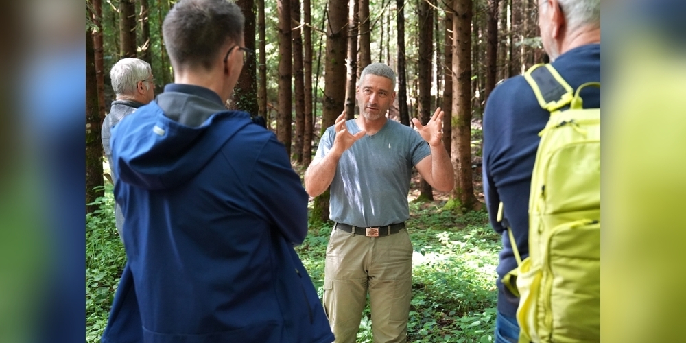 Der-Wald-im-Wandel