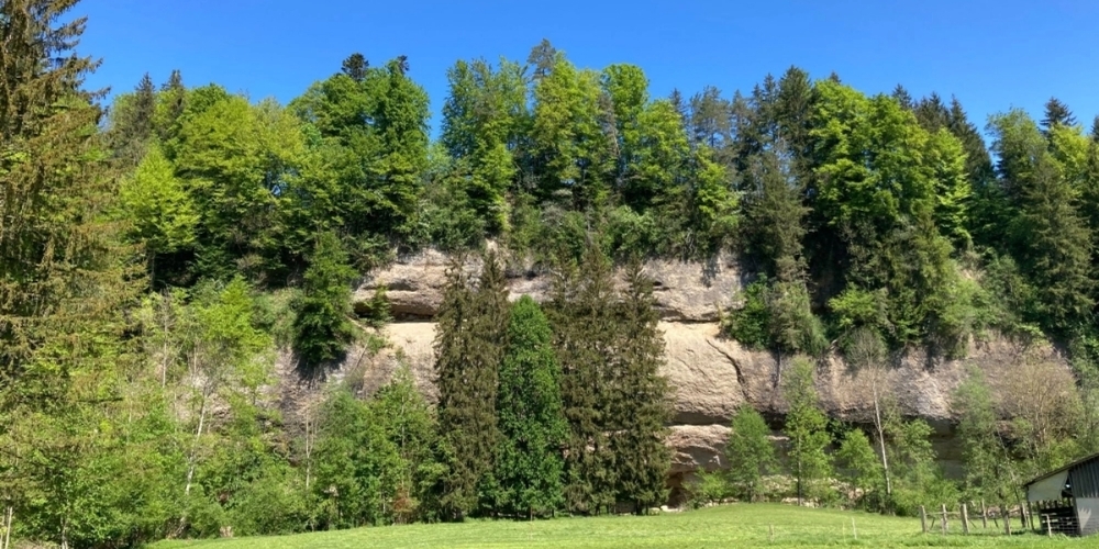 Lust-auf-einen-Sommermorgen-im-Toggenburg