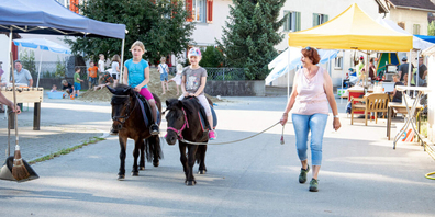 Die Familie Fleischli war an der Chilbi in Oberhallau mit Shetlandponys vertreten und liess beim Ponyreiten die Kinderherzen höherschlagen. Viele weitere Attraktionen erfreuten Gross und Klein. 