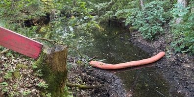 Die Feuerwehr konnte beim Auslauf des Bildhausweihers rasch Ölsperren verlegen.