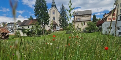 Blumenwiese am Zentrumweg, mit Blick auf die Kirche.