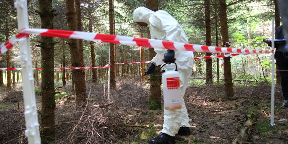 Im Wald wurde nach Kadavern gesucht.