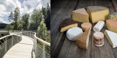 Baumwipfelpfad Neckertal und Käse aus dem Toggenburg.