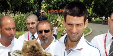 Der serbische Tennisprofi Novak Djokovic mit einem Plüsch-Wombat. In der Natur leiden Wombats unter einer speziellen Form der Krätze, deren Erreger in den langen, feuchten Höhlen der Beuteltiere besonders gut gedeihen. Das haben Roboter herausgefu...