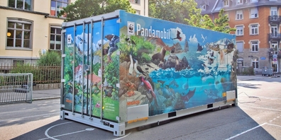 Das erfolgreiche Umweltbildungsprojekt  «Pandamobil» vom WWF versetzt die Schülerinnen und Schüler in eine erstaunliche Welt.