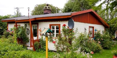 Dummköpfe wird es wohl immer geben