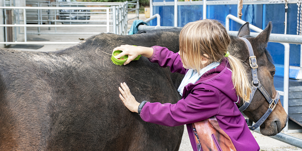 Beim Heilpädagogischen Reiten steht vor allem der Beziehungsaufbau zwischen Kind und Pferd im Vordergrund. 