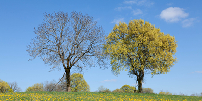 Über den definitiven Perimeter des Naturparks entscheiden die Schaffhauser Gemeinden bis Ende 2026 in kommunalen Abstimmungen.