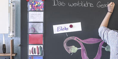 Aufgrund des Aufklärungsunterrichts an der St.Galler Volksschule wurden bei der Staatsanwaltschaft Anzeigen eingereicht. (Symbolbild)