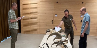 Wildkunde: Das Wissen über Wildtiere ist wichtiger Bestandteil der St.Galler Jagdprüfung.