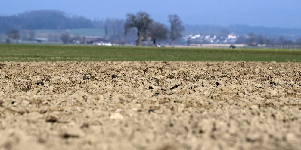 Im Kanton St.Gallen hat sich die herrschende Trockenheit weiter verschärft. (Symbolbild)