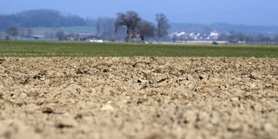 Im Kanton St.Gallen hat sich die herrschende Trockenheit weiter verschärft. (Symbolbild)