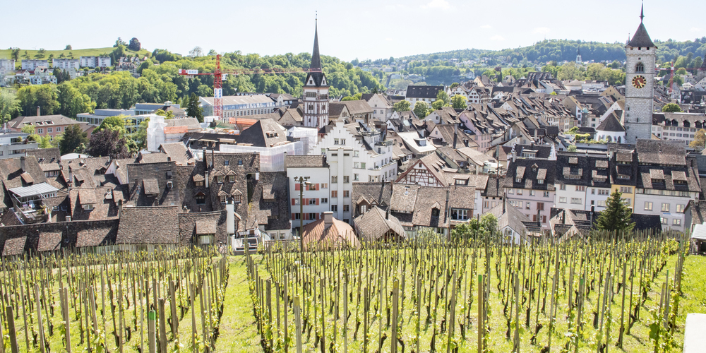 Die Stadt feiert erfolgreiche Sportlerinnen und Sportler.