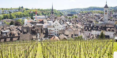Das Schaffhausen der Zukunft soll als Schwarm- und Nestregion Menschen und Unternehmen gleichermassen anziehen.
