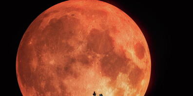 Das Weltraumteleskop Hubble ist seit mehreren Tagen ausser Betrieb. (Archivbild)