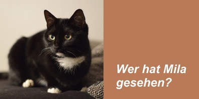 Seit Dienstag vermisst: "Mila" aus Waldstatt.