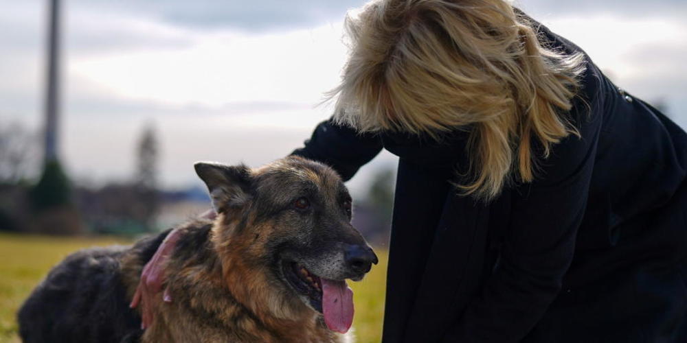 US-Präsident Joe Biden und seine Frau Jill trauern um den Tod ihres Hundes Champ. (Archivbild)