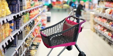 VIRAS: Barrierefreies Einkaufen mit KI und motorisiertem Einkaufswagen.