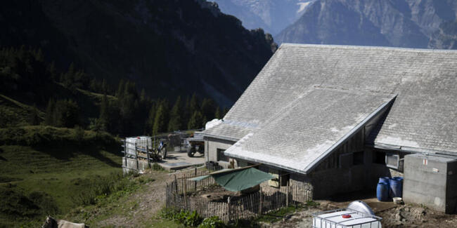 Wie auf vielen Alpen ist auf der Alp Oberchäseren in Amden das Wasser knapp. Da Quellen versiegen und Regenwasser fehlt, liefern Helikopter Wasser.