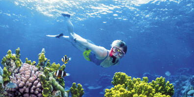 Das Great Barrier Reef an der Ostküste Australiens soll auf die Rote Liste der Unesco gesetzt werden. (Archivbild)