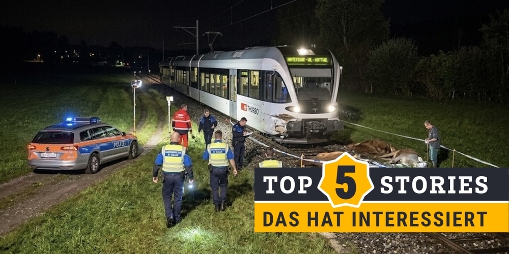 Trauriger Rekord: Ein Regionalzug überfuhr fünf Rinder, die von der Wiese ausbrachen. Die Meldung auf Linth24 wurde 52'000-mal angeklickt.