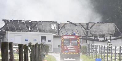 So sah es nach dem Brand von Mitte Juli 2017 im nationalen Pferdegestüt von Avenches VD aus.