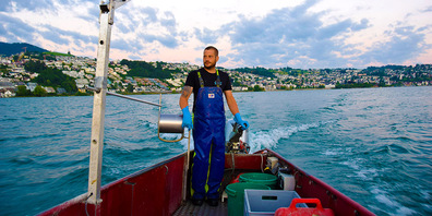 Ab drei Uhr morgens, für viele noch mitten in der Nacht, geht es für Fischer Stefan Zehnder raus auf den Zürichsee.