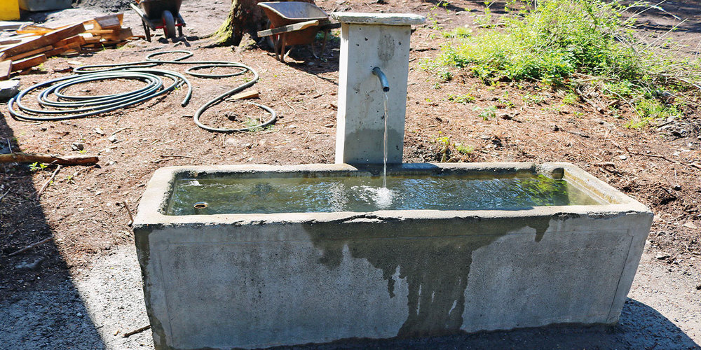 Der kleine Zubrunnen ziert den Grillplatz vor der neuen Trimmiser Waldhütte.