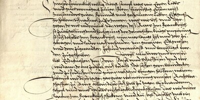 Bürgermeister und Rat der Stadt Zürich informieren ihre St. Galler Amtskollegen über die geplante «Fridhandlung» und laden sie zu einer eidgenössischen Tagsatzung im Dezember 1574 ein
