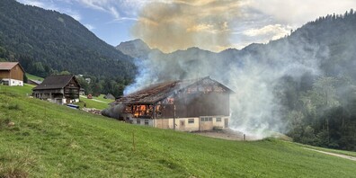 Blitzschlag in Scheune im Steintal