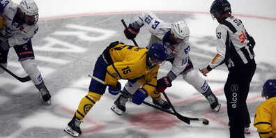 Der HC Davos und die Adler aus Mannheim treffen wieder aufeinander