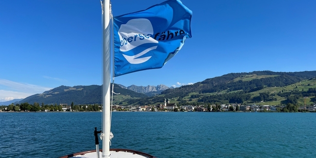 Der anhaltend tiefe Wasserstand im Zürichsee zwingt die Oberseefähre dazu, ihren Betrieb bis auf Weiteres einzustellen. (Archivbild)