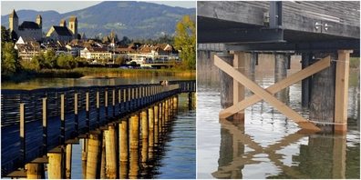 Der Holzsteg ist von Pilzen befallen, welche unter anderem die Pfeiler angreifen und beschädigen. 