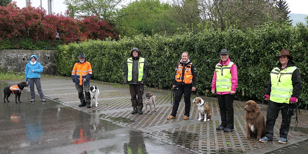 Die Main-Trailing-Übungsgruppe an diesem Donnerstag in Montlingen: vl. Steffi mit Hund Janosch, Kari mit Chiggo, René mit Alba, Daniela mit Maja, Übungsleiterin Jaqueline Kolb und Daniela mit Chitto