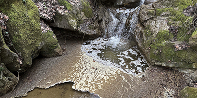 Durch Gülle eines Bauern verschmutzter Chatzenbach oberhalb von Altendorf.