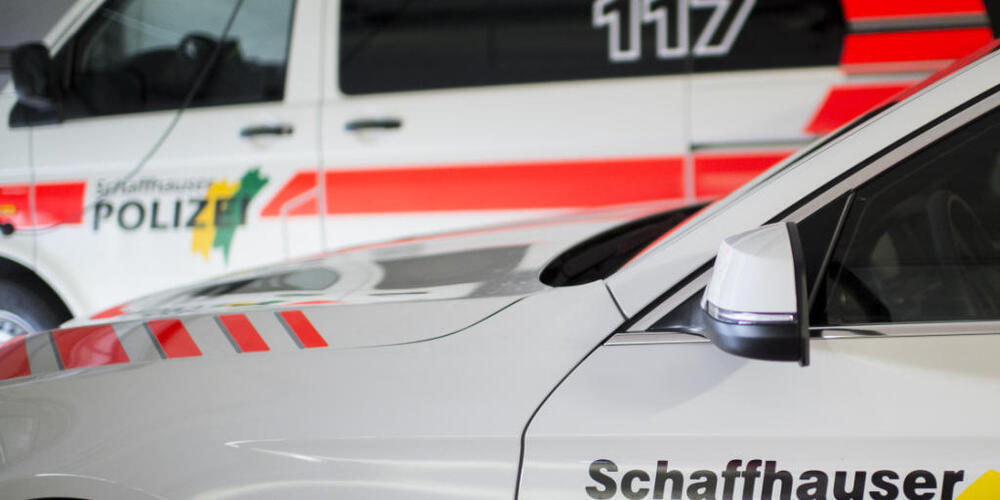 In Dörflingen SH ist eine 9-jährige Reiterin bei einem Unfall mit einem Personenwagen verletzt worden. Das Pferd starb noch auf der Unfallstelle. (Archivbild)