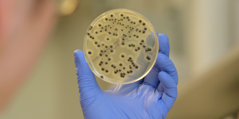 Das 50-köpfige Team des Laboratoriums der Urkantone hat seit 2019 insgesamt 215 Trinkwasserproben auf Pflanzenschutzmittelrückstände untersucht.